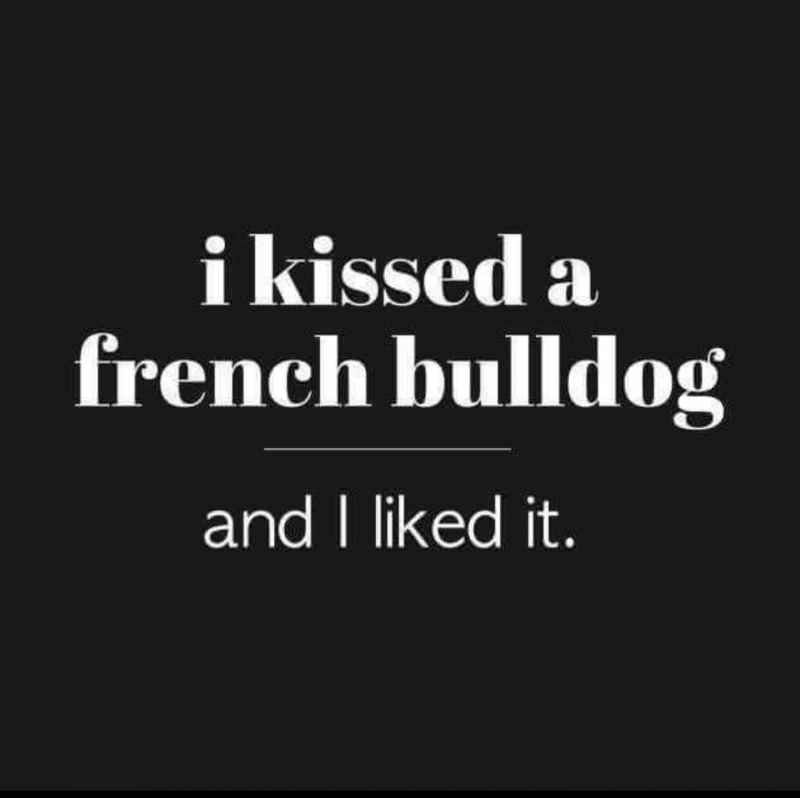 I kissed a fench bulldog